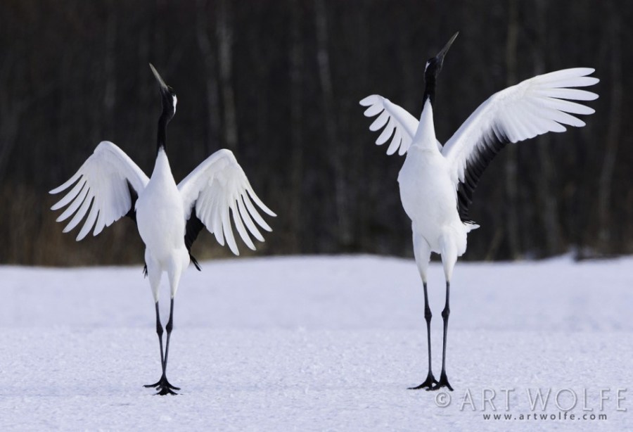 3265c275761750dbafbde534d5cdad1e